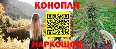 Альфа ПВП Можга