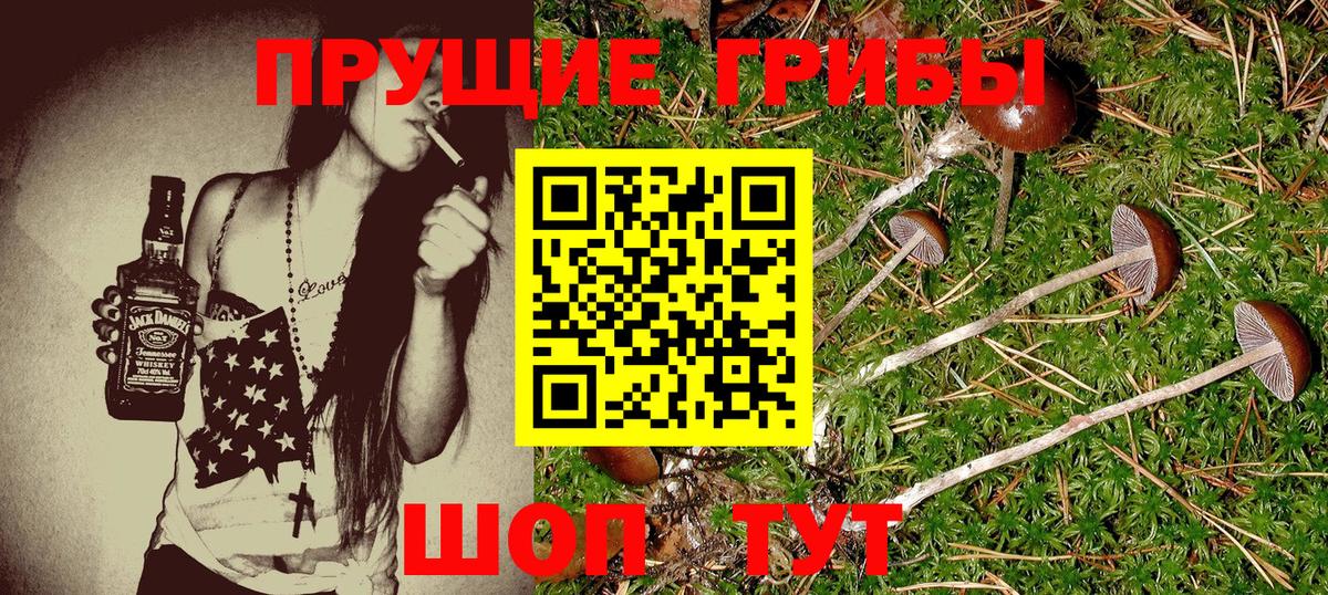 Псилоцибиновые грибы мухоморы  Вход с VPN  купить  сайты  Сланцы 
