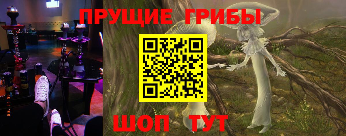 Псилоцибиновые грибы GOLDEN TEACHER Сланцы